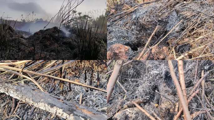 火烧山坡野草环境破坏森林 火灾燃烧热-