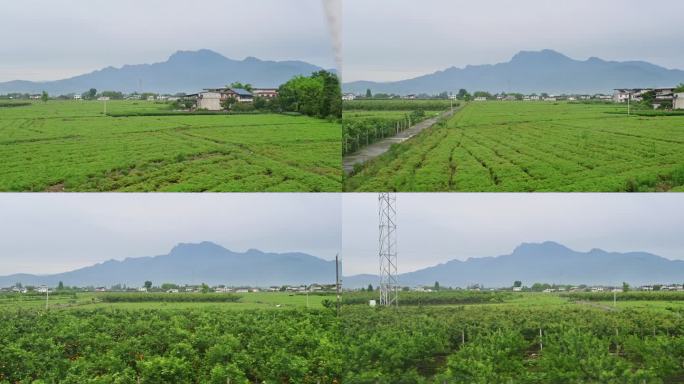 成昆铁路列车车窗视角的峨眉山