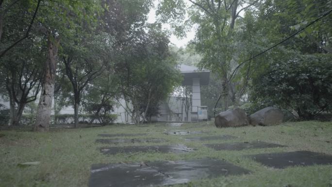 雨后石板路