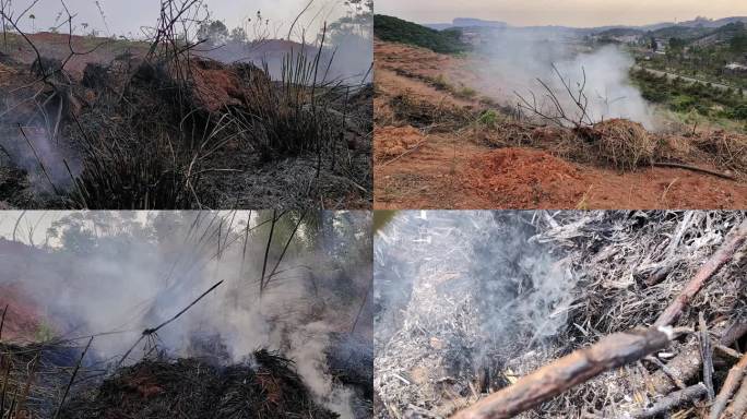 火烧山坡野草火灾风环境破坏森林火灾燃烧