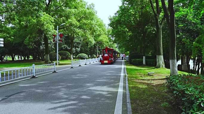 橘子洲 小火车 游客  旅游