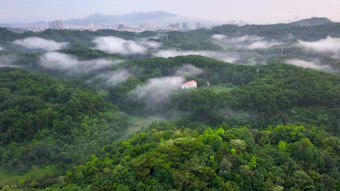 4K航拍深圳龙华大水坑水库0