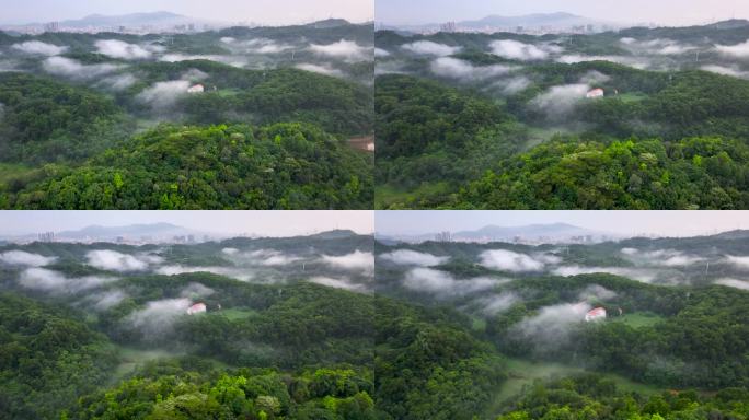 4K航拍深圳龙华大水坑水库0