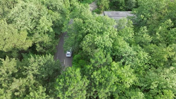 森林山路跟车航拍