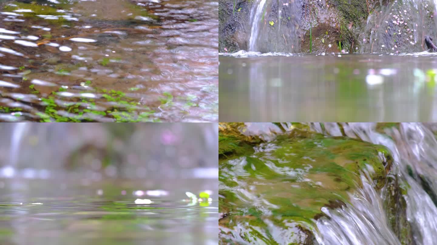 杭州植物园小溪流水风景视频素材9