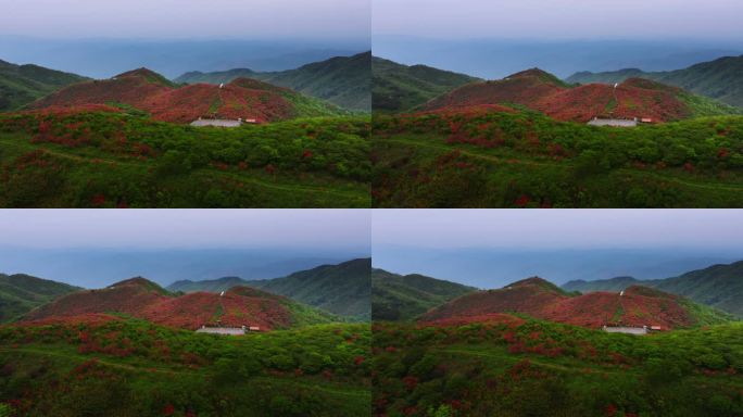 浏阳大围山杜鹃花海航拍