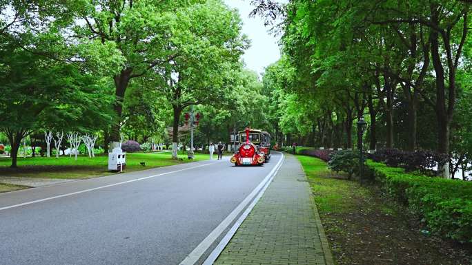 橘子洲 小火车 游客  旅游