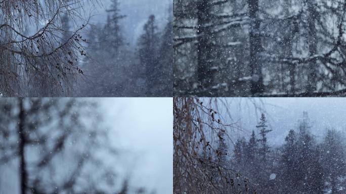 川西木格措，树林中大雪纷飞