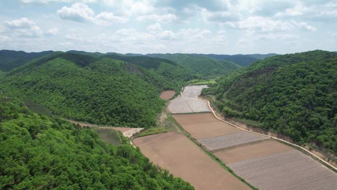 陕北梯田黄土高原地貌