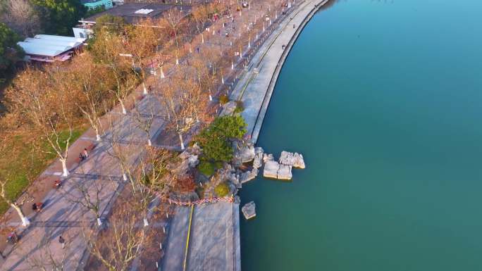 上海浦东新区世纪公园航拍城市地标风景风光