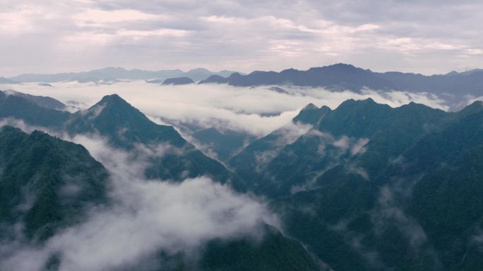 自然生态云海雨云雨森林美丽乡村小溪鱼日出