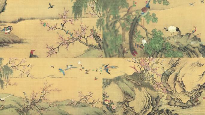 4K沈铨百鸟朝凤图卷高清实拍