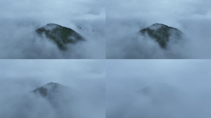 山峰云雾缭绕森林云海航拍雨后森林雨天森林