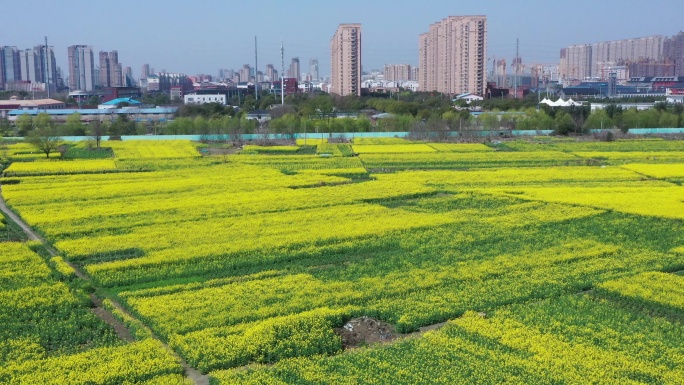 如皋都市田园