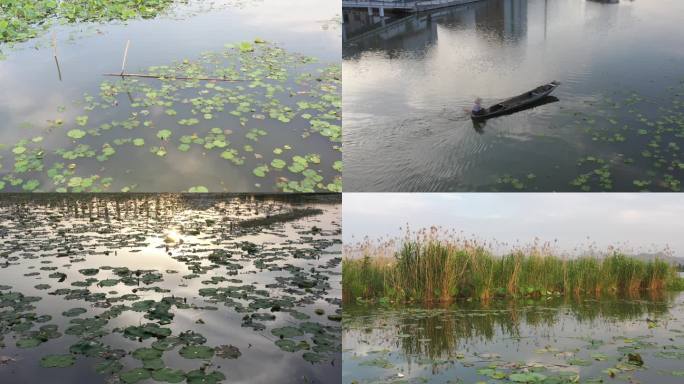 4K鉴湖国家湿地公园航拍