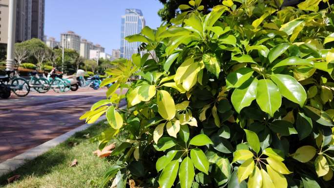 城市道路随拍