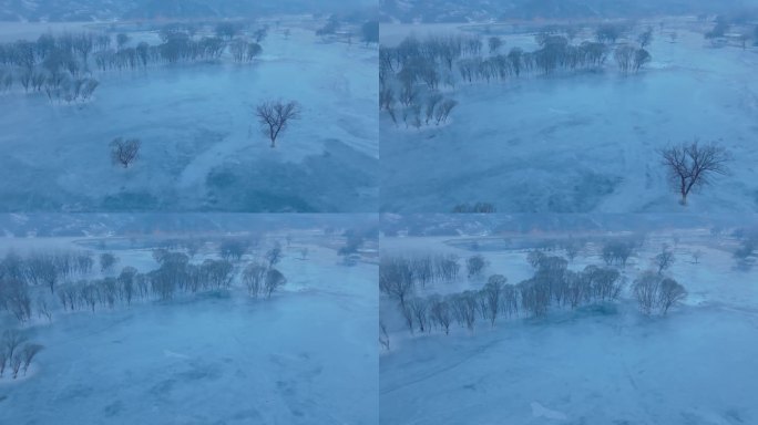 冰面和枯树
