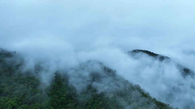 森林云海航拍森林雨天森林俯拍树林山间云雾