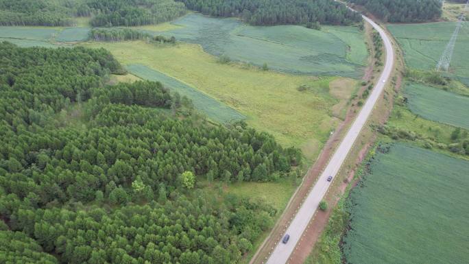 汽车行驶在林地农田间的公路上唯美自然风光