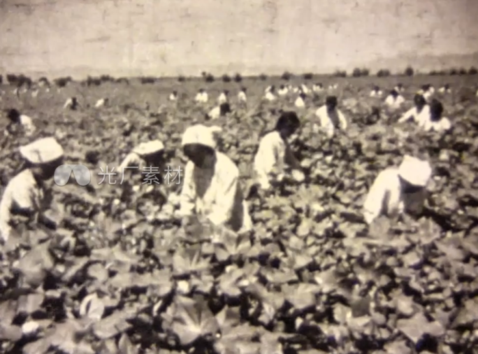 人民公社 社队企业 农业生产 六七十年代
