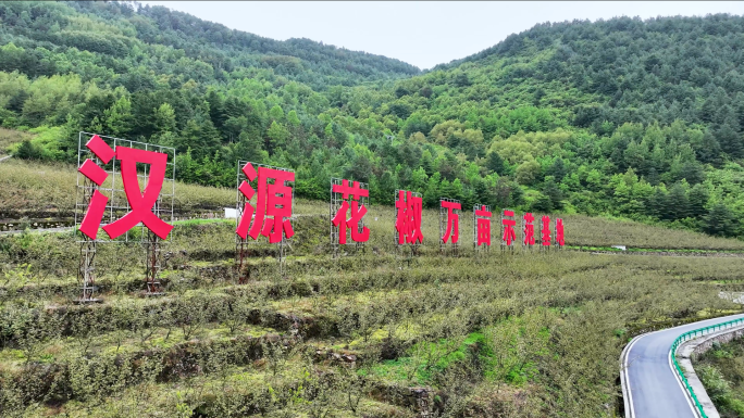 汉源花椒万亩示范基地航拍花椒种植园