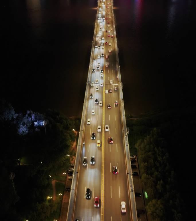 航拍（竖拍）-武汉长江二桥的夜景