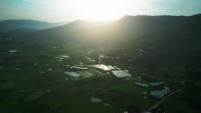 清晨的乡村风景