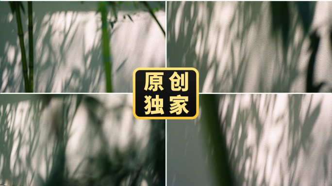 白墙树影竹影婆娑唯美写意光影变化光影延时