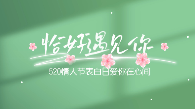 520情人节唯美字幕文字片头