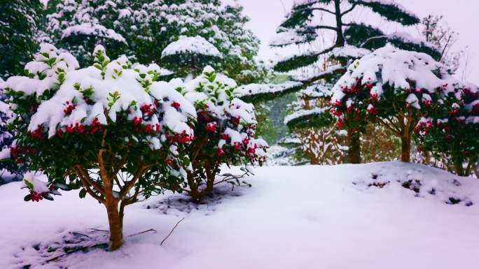 大雪纷飞的南方