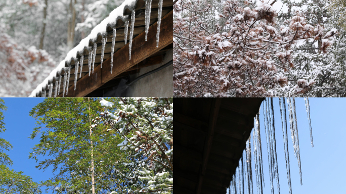 雪的浪漫和温度