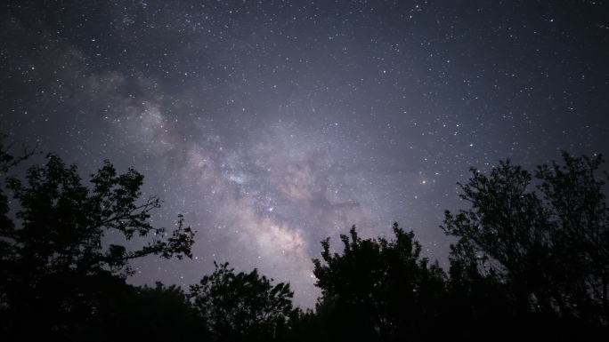 大树下仰望银河星空