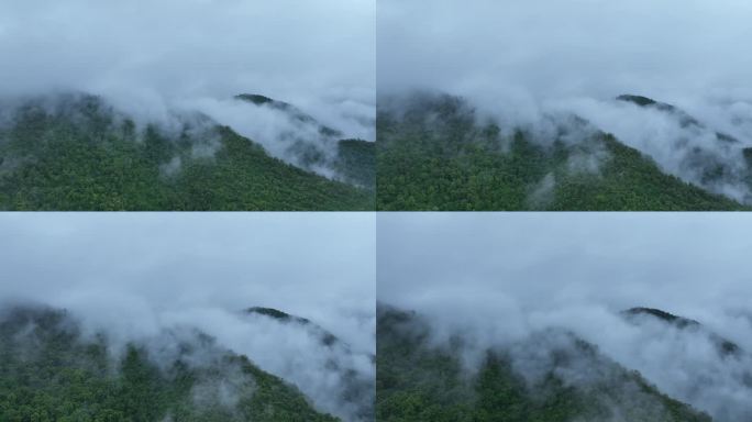 山峰云雾缭绕森林云海航拍雨后森林雨天森林