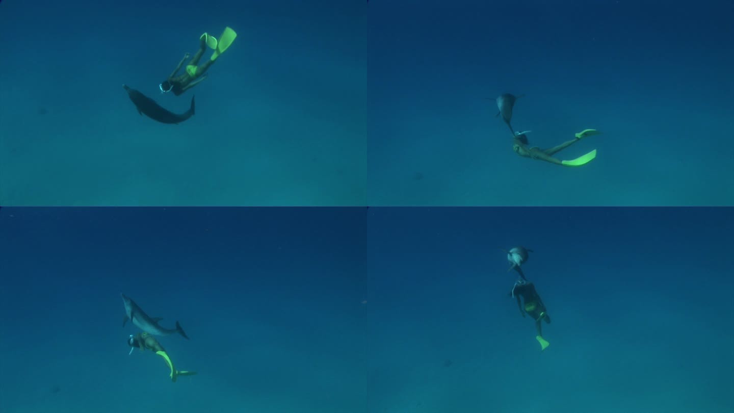 海豚和年轻女子在巴哈马水下游泳