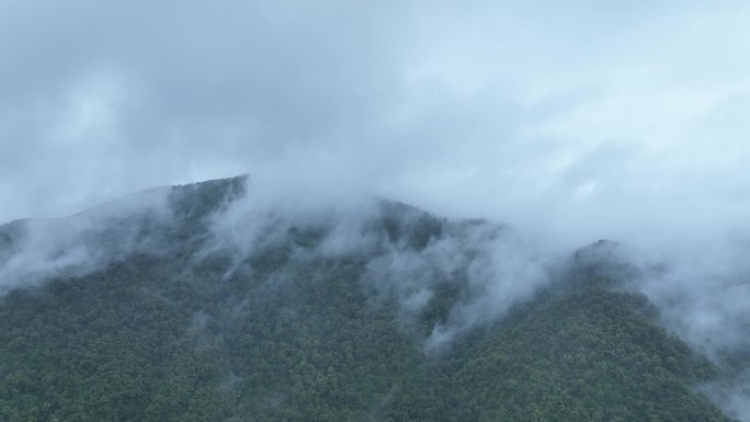 山峰云雾缭绕森林云海航拍雨后森林雨天森林