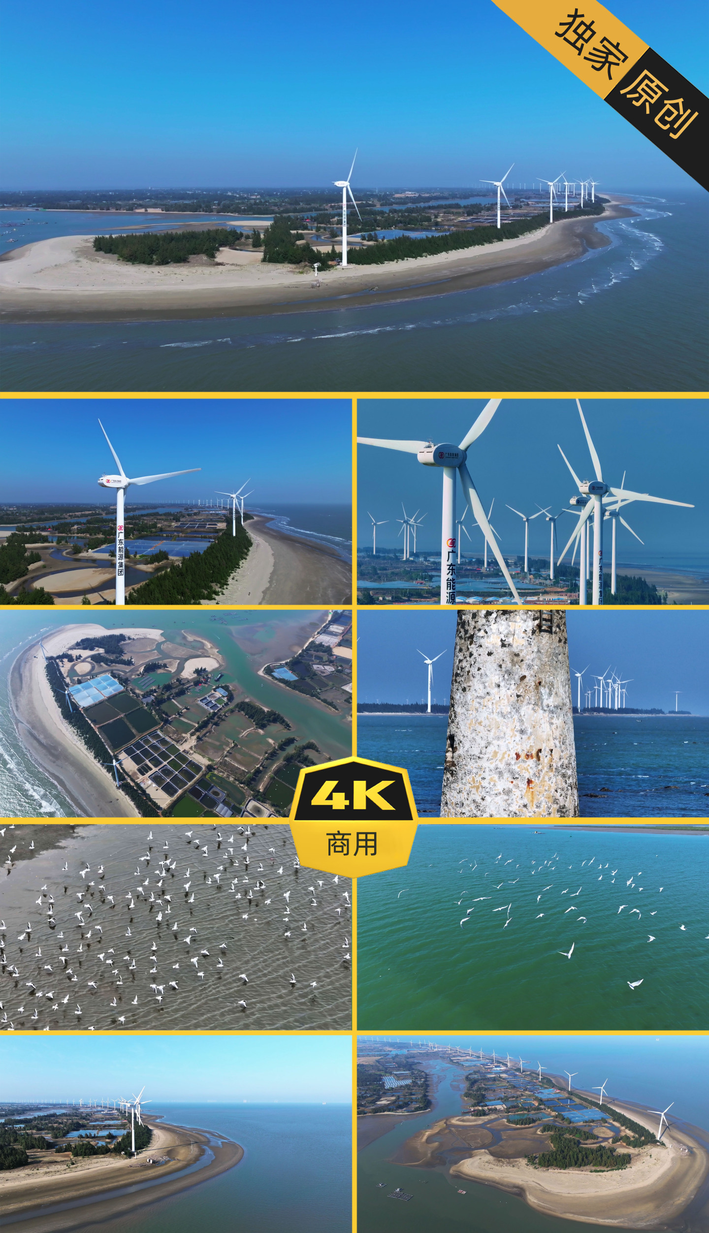 风力发电 海边生态环境 海鸟