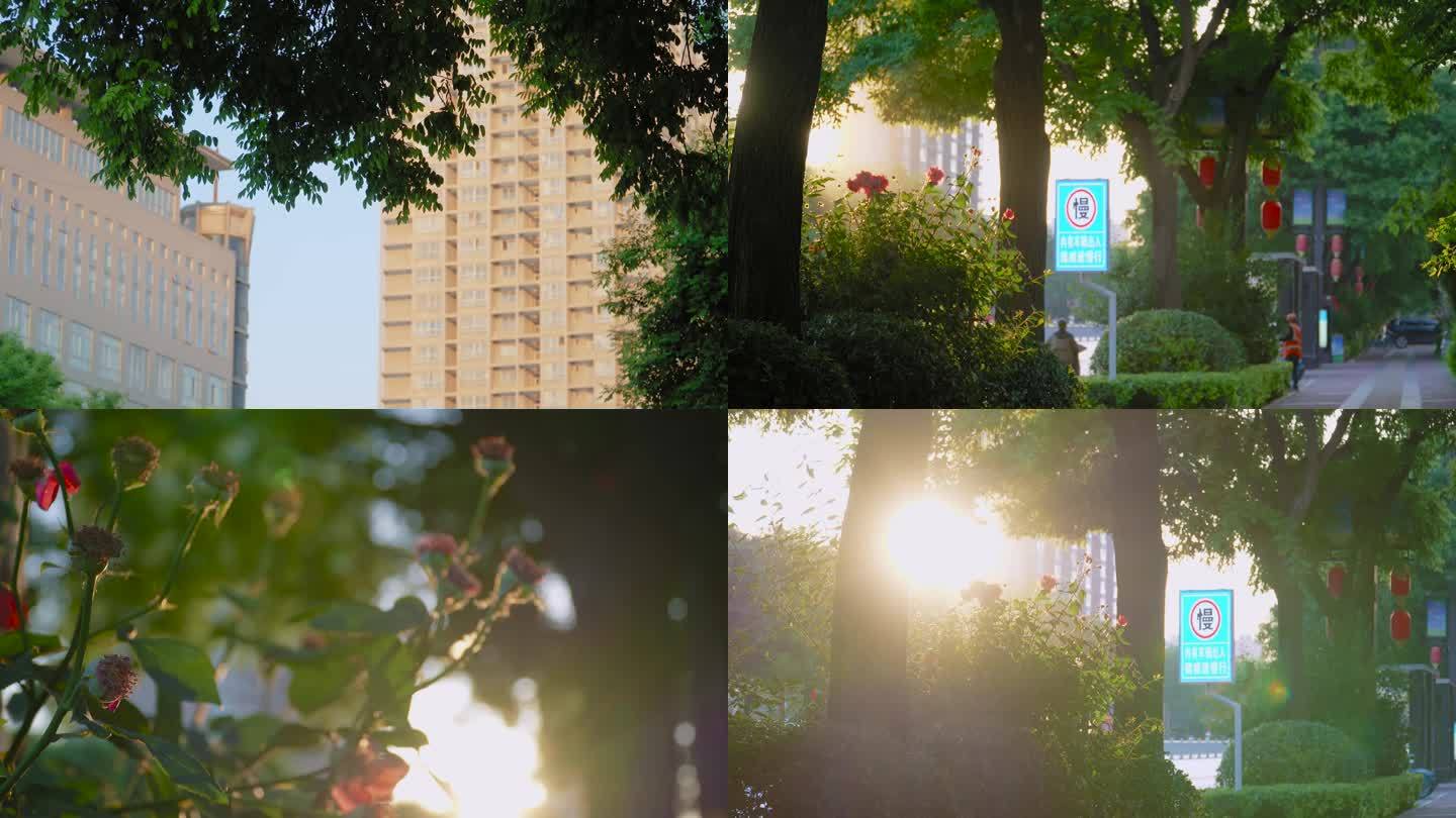 实拍城市清晨渭南清晨城市街道绿化画面