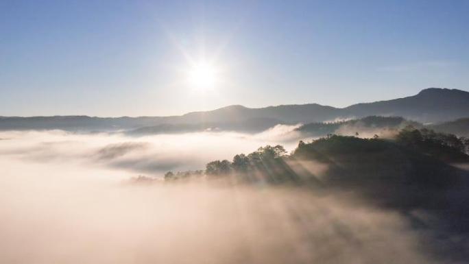 云雾高山 企业宣传 公益广告