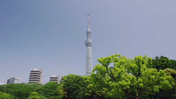 东京晴空塔和晴空