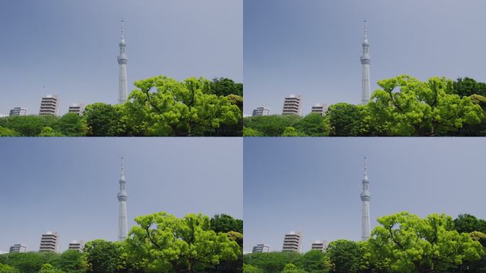 东京晴空塔和晴空