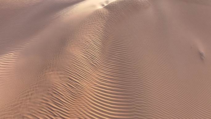 沙漠   沙漠花纹  花纹
