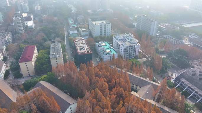 上海杨浦区同济大学本部航拍校园风景风光素