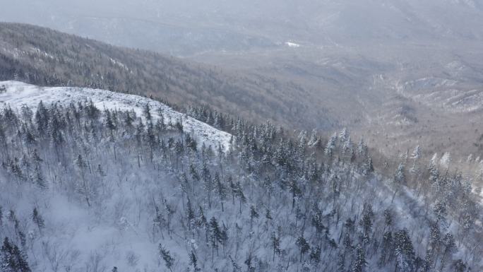 航拍黑龙江亚布力滑雪场雪景林海雪原风光