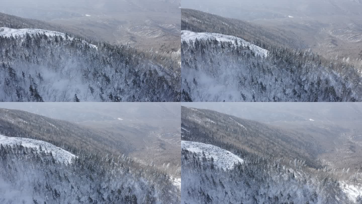 航拍黑龙江亚布力滑雪场雪景林海雪原风光