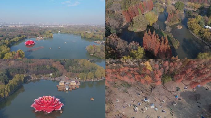 洛阳市隋唐城遗址植物园