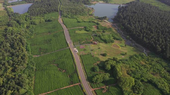 溧阳1号公路神女之心茶场神女湖附近航拍