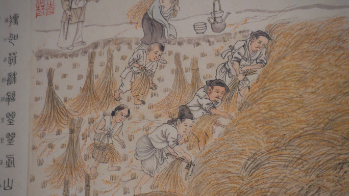古代农业水稻种植生产