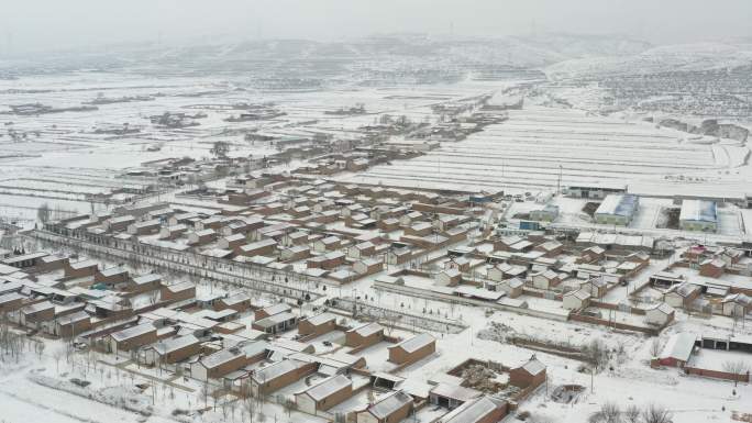 大西北 雪景