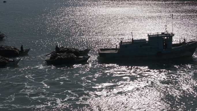 航拍荣成寻山爱伦湾海洋牧场海带养殖船队
