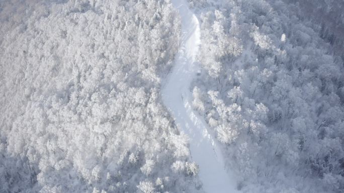 航拍黑龙江亚布力滑雪场雪景林海雪原风光